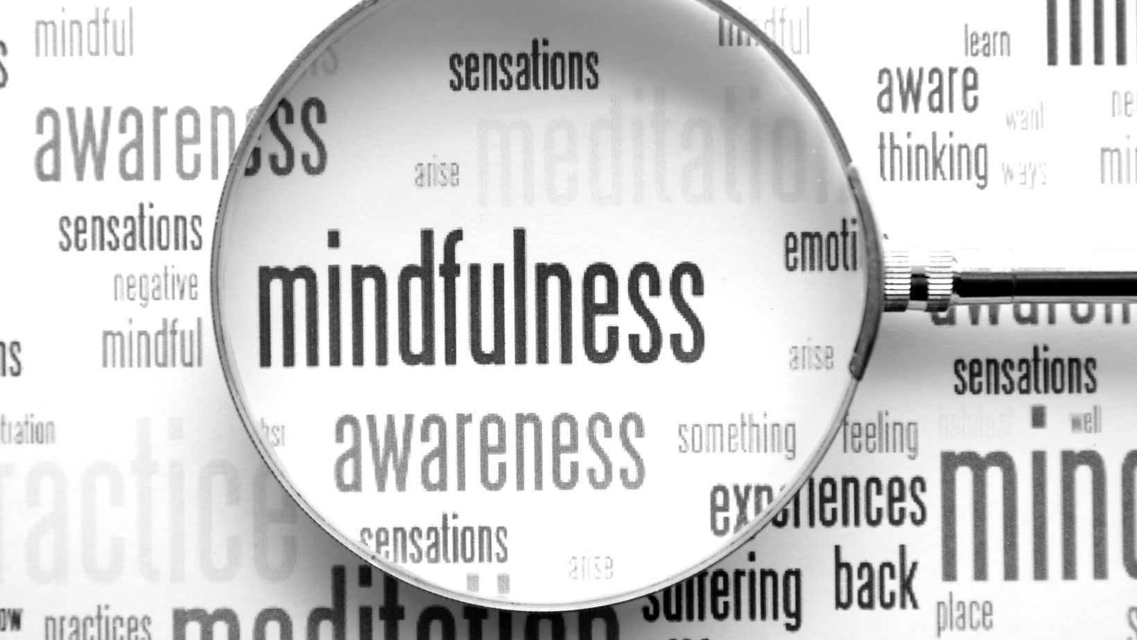 mindfulness techniques pdf